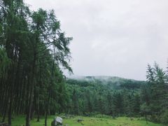 -硗碛藏寨·神木垒景区