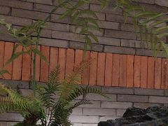 -同庆楼(金宝汇店)