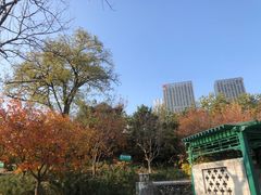 -西海子公园