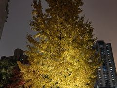 -苏州河梦清园环保主题公园