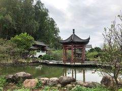 -广州神农草堂中医药博物馆