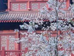 -堤角公园