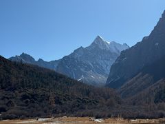 -稻城亚丁景区-冲古草甸