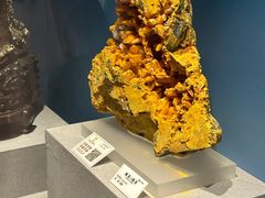 -贵州省地质博物馆