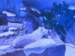 -上海海昌海洋公园