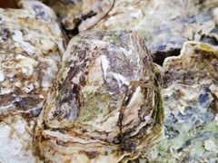 -铂丽斯国际大酒店-凯悦自助餐厅