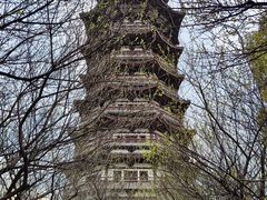 -洋湖国家湿地公园