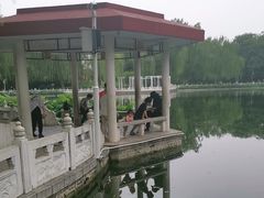-丰台花园