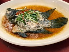 -都市阳光海鲜城(青山湖店)