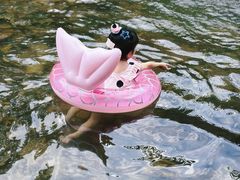 -北仑森林植物园