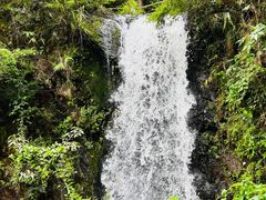 -马峦山郊野公园