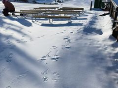 -北京南山滑雪场