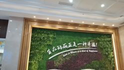 -玛丽亚妇产医院
