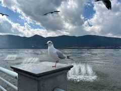 -海埂大坝