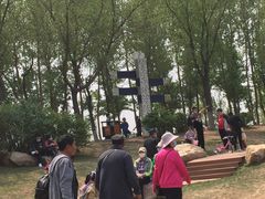 -丁香湖公园
