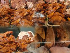 -洪记白水羊头(天坛店)