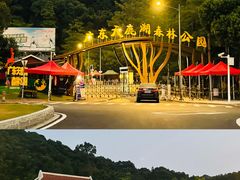 -天鹿湖森林公园