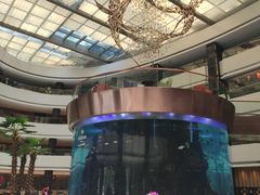 -OPEN開全日自助餐厅·牛肉火锅·海鲜(佛山希尔顿酒店)