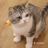 饮料咖啡都是无限畅饮的!可以玩一个下午的好去处