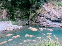 -太鲁阁公园