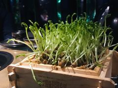 -凤园椰珍·臻品椰子鸡(保利时光里店)