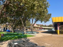 -上海海湾国家森林公园