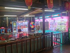 -一煲鸽
