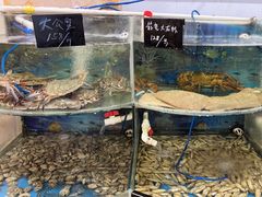 -鑫渔港海鲜本地菜·山海关浑锅(东戴河店)