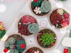 -威利旺卡烘焙西点蛋糕培训(朝阳校区)