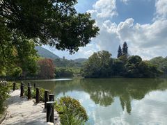 -深圳仙湖植物园