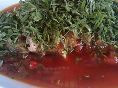 -老字号怡玺·藿香雅鱼(20年雅安店)