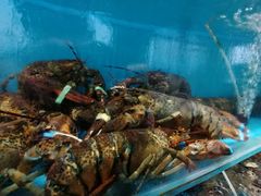 -港畔赶海蒸汽海鲜烧烤自助(仙螺岛店)