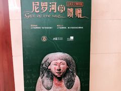 景点-辽宁省博物馆