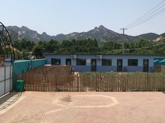 -趣玩宠物乐园寄养训犬训狗游泳池