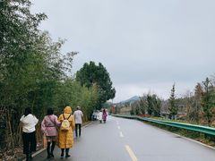 -崇阳三特浪口温泉
