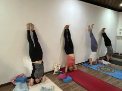 -兴亚瑜伽20年老馆