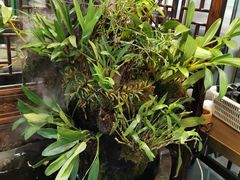 -庆合府重庆大排档(紫都城店)