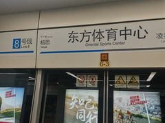 -东方体育中心(地铁站)