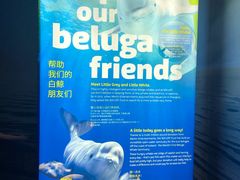-悉尼海洋生物水族馆
