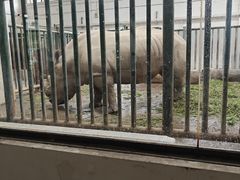 -成都动物园