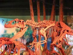 -正佳自然科学博物馆