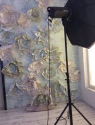 -星豆豆儿童摄影(南郊太白南路店)