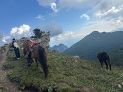 -灵山