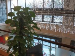 -上海五角场华美达大酒店