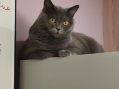 -爱诺耐芙动物医院(万博店)