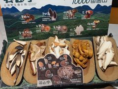 -芸山季·云南山珍菌火锅(人民广场来福士店)