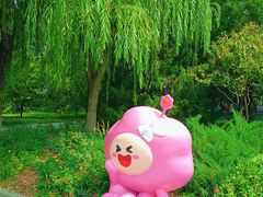 -莲花池公园