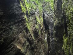 -牛背梁国家森林公园