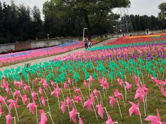 -海上田园