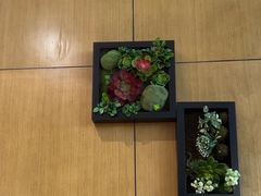 -素心素食(翠苑店)